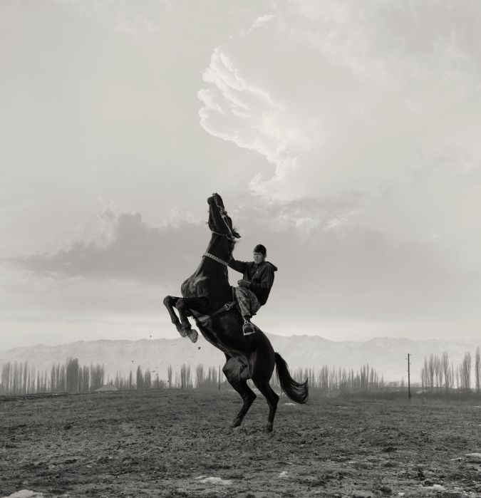 Ein Reiter lenkt sein Pferd beim Bouzkachi